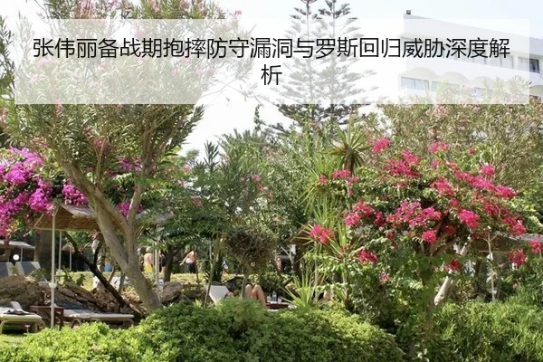 张伟丽备战期抱摔防守漏洞与罗斯回归威胁深度解析